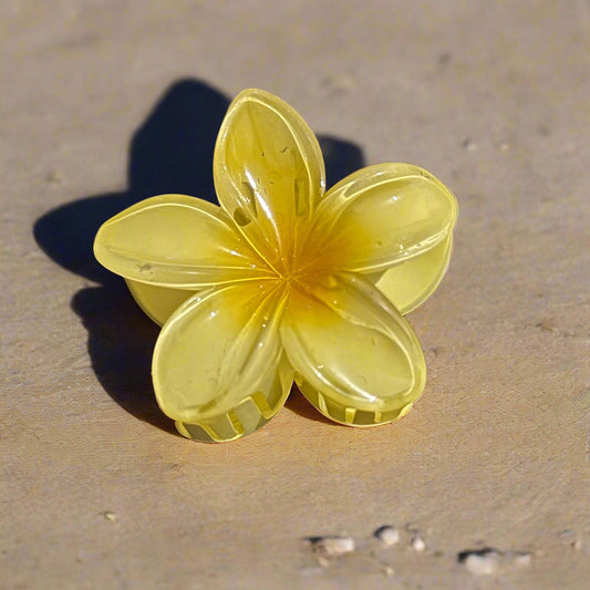 Gradient Flower Hair Clips 🌸